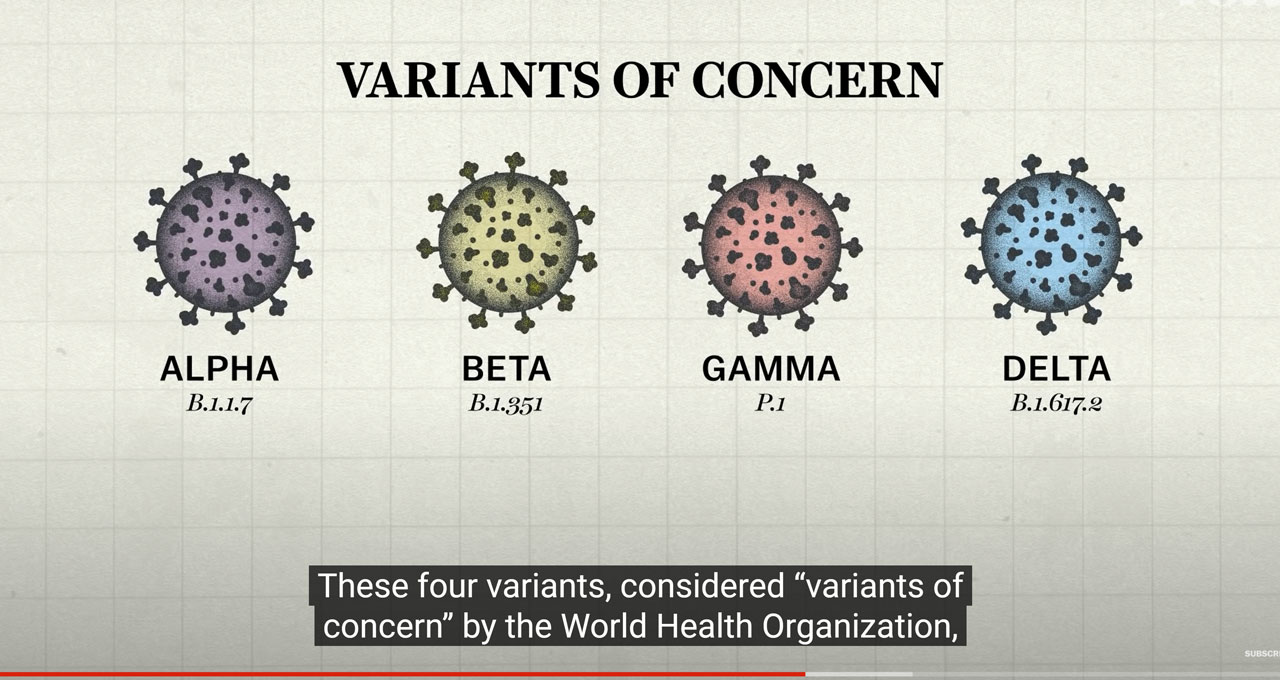 Why so many Covid-19 variants are showing up now